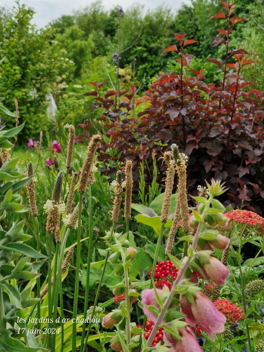 couleurs de fin de printemps